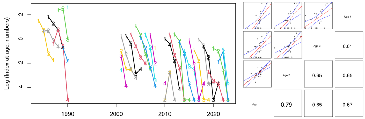 Graph of Skagerrak East index at age consistency