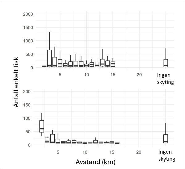 Antall enkelte fisker (hvis >0) målt av ekkolodd på WBAT ved stasjon 1 (øverst) og 2 (nederst) mellom 13. april og 8. mai 2022. I perioden seilet seismikkfartøyet fram og tilbake på survey linjene flere ganger. Data er integrert i tid for hver 6 min (ca 900 m seilt avstand) og består av mange tilnærminger. Boksen lengst til høyre i x akse viser data der fartøyet er på ulike avstander, men skyter ikke.