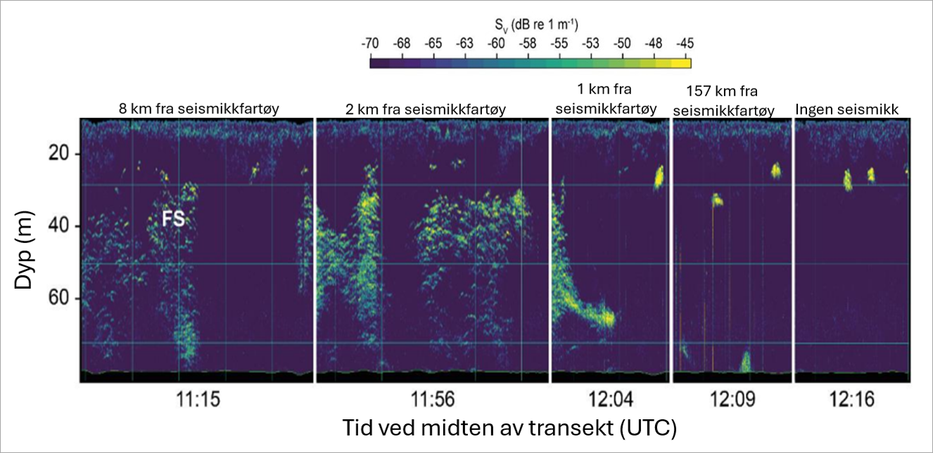 Figur 5.12. Ekkogram fra Otter plattformen ved stasjon 2. Målingene av biomasse tetthet (Sv, fargeskala) over tid er delt i transekter fram og tilbake i vinkelrett retning i forhold til seismikk linje. FS= fiskestim. Tekst over hver transekt viser den gjennomsnittlige avstand av seismikkfartøyet fra stasjonen. Her ser man tydelig at den vertikale spredningen av fisk er sterkt redusert fra ca 1 km avstand før nærmest passering og forble uendret også noe etter passering, når skyting pauses fram til start av neste linje. Figuren er hentet fra Priou et al. 2023.