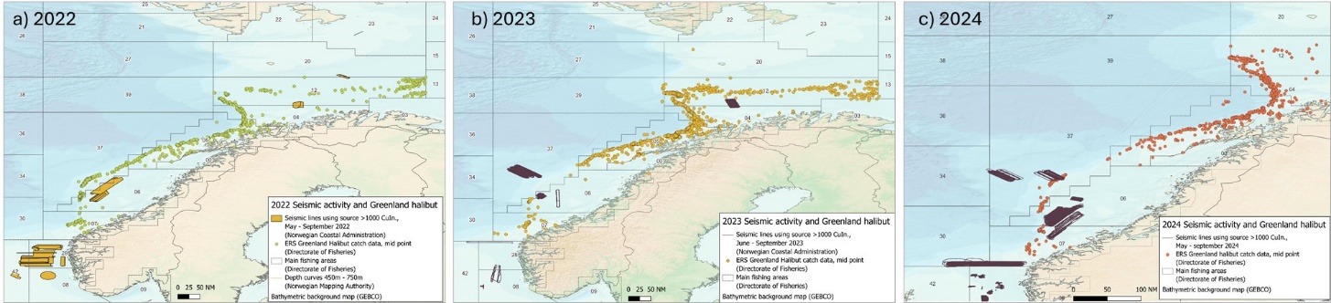 Lokasjoner av seismiskundersøkelser (fra AIS) og fangst av blåkveite (midtpunkt mellom start- og stopp-posisjon fra ERS-data) i sommeren 2022 (a), 2023 (b) og 2024 (c).