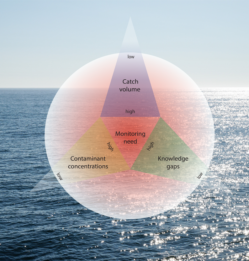 
forsidebilde Tanja mindre grafikk bedre oppl%C3%B8sning
