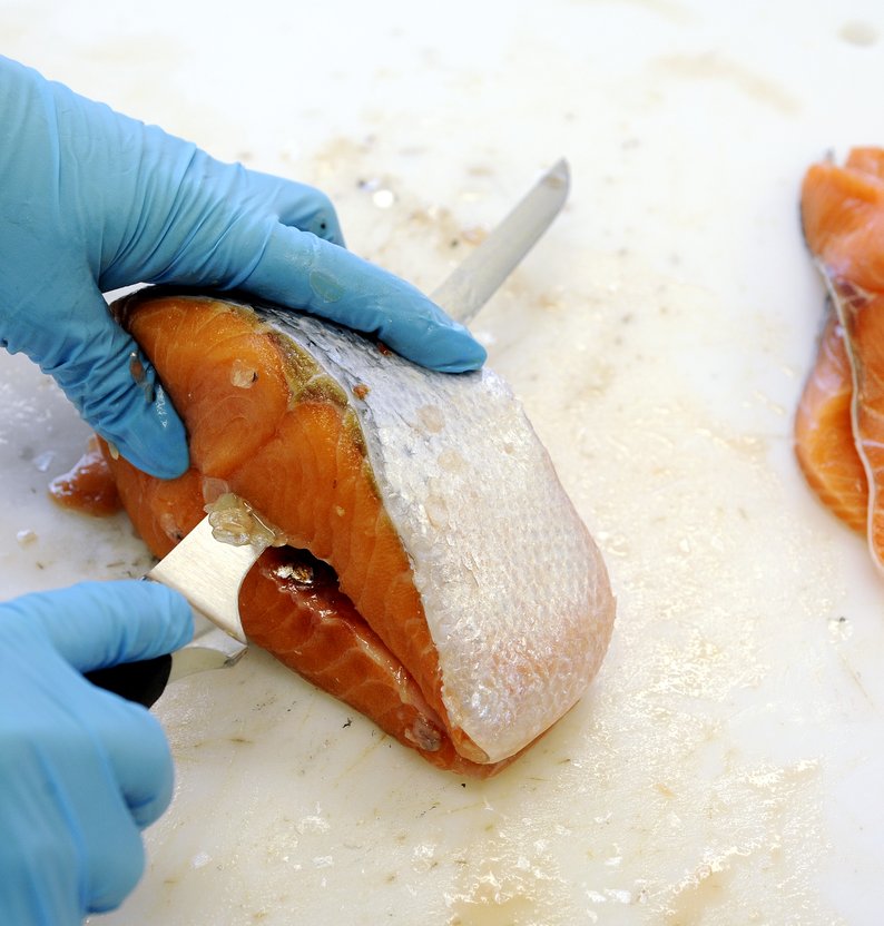 
cover foto HI 043781