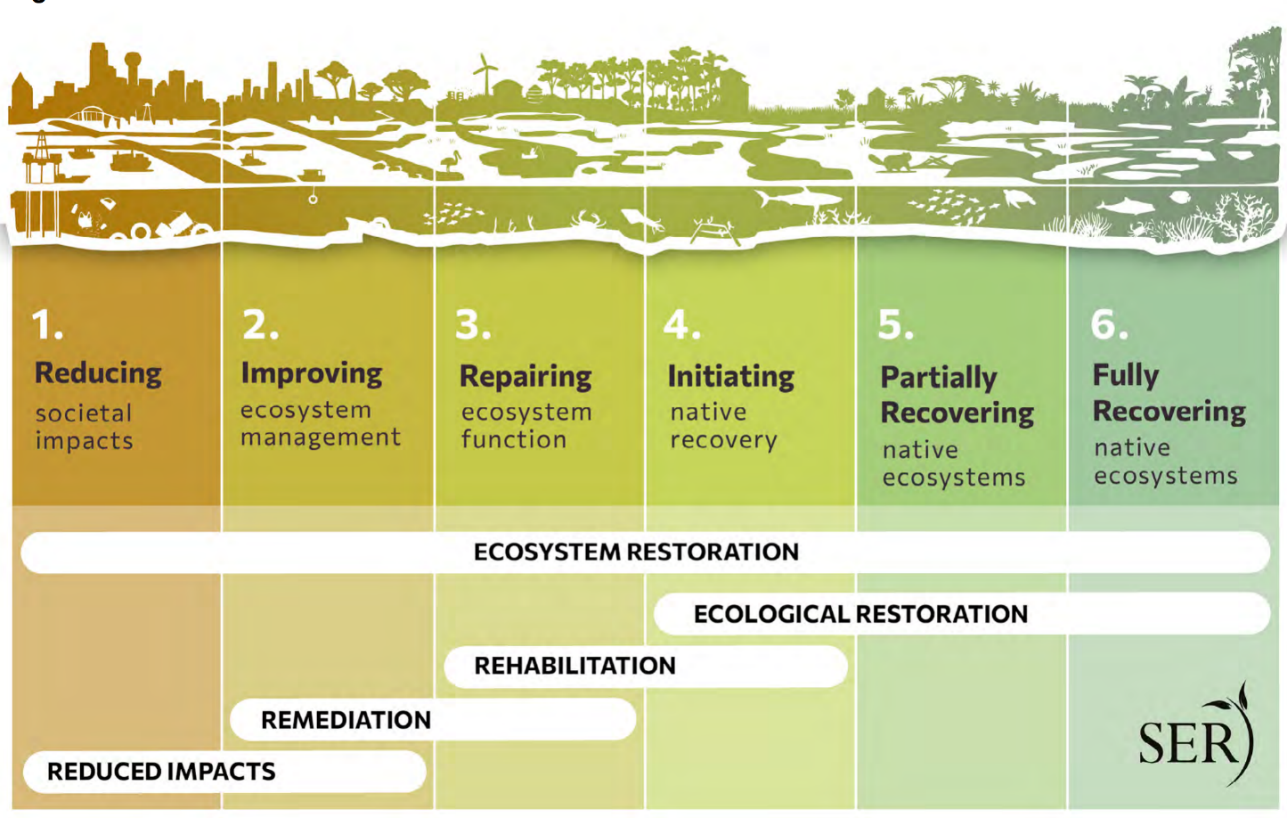 Figur 7. Restaureringskontinuum som beskrevet av FAO. Kilde: FAO, SCBD & SER72.