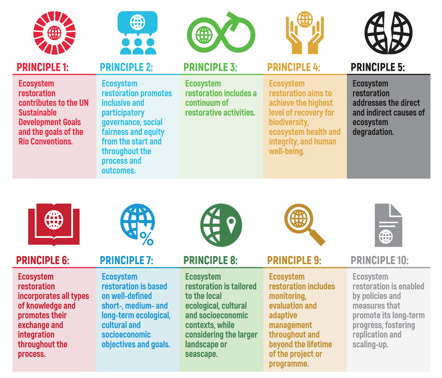 Figur 8. FNs 10 prinsipper for økosystemrestaurering (FAO, IUCN CEM & SER73).