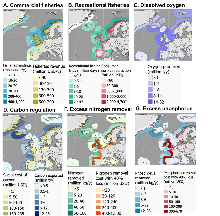 Figur 3. Monetære verdier fra tareskog for A) kommersielt fiske, B) fritidsfiske, C) oppløst oksygen, D) karbon regulering, E) nitrogenopptak og G) fosforopptak (verdier beregnet i prosjektet GEAK om økosystemtjenester fra tareskog). 