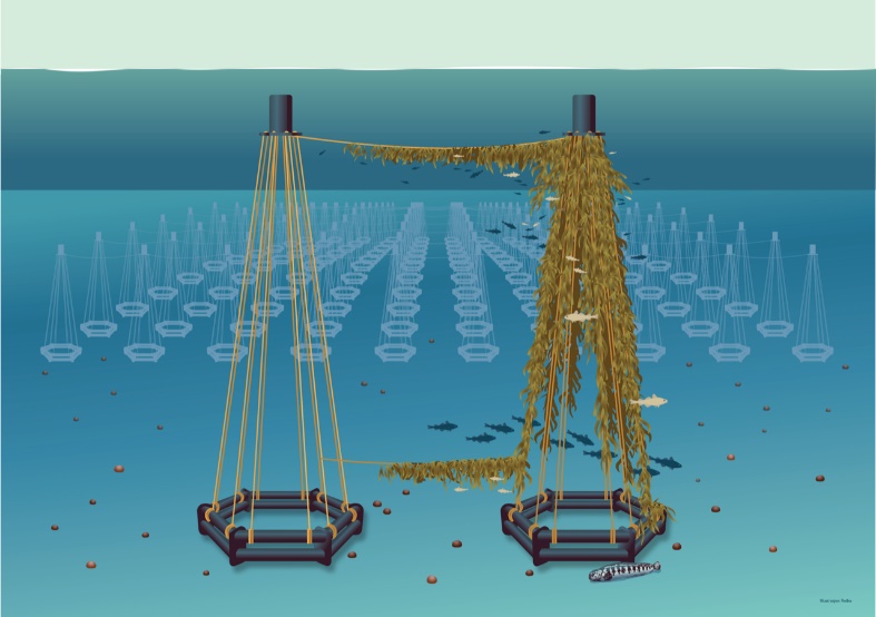 gur 13. Havforskningsinstituttet arbeider med å utvikle kunstige rev som egner seg til storskala etablering av biologisk hot-spots. Tilvokst prototype til venstre og videreutviklet variant til høyre. Foto/illustrasjon: Havforskningsinstituttet/Reibo AS.