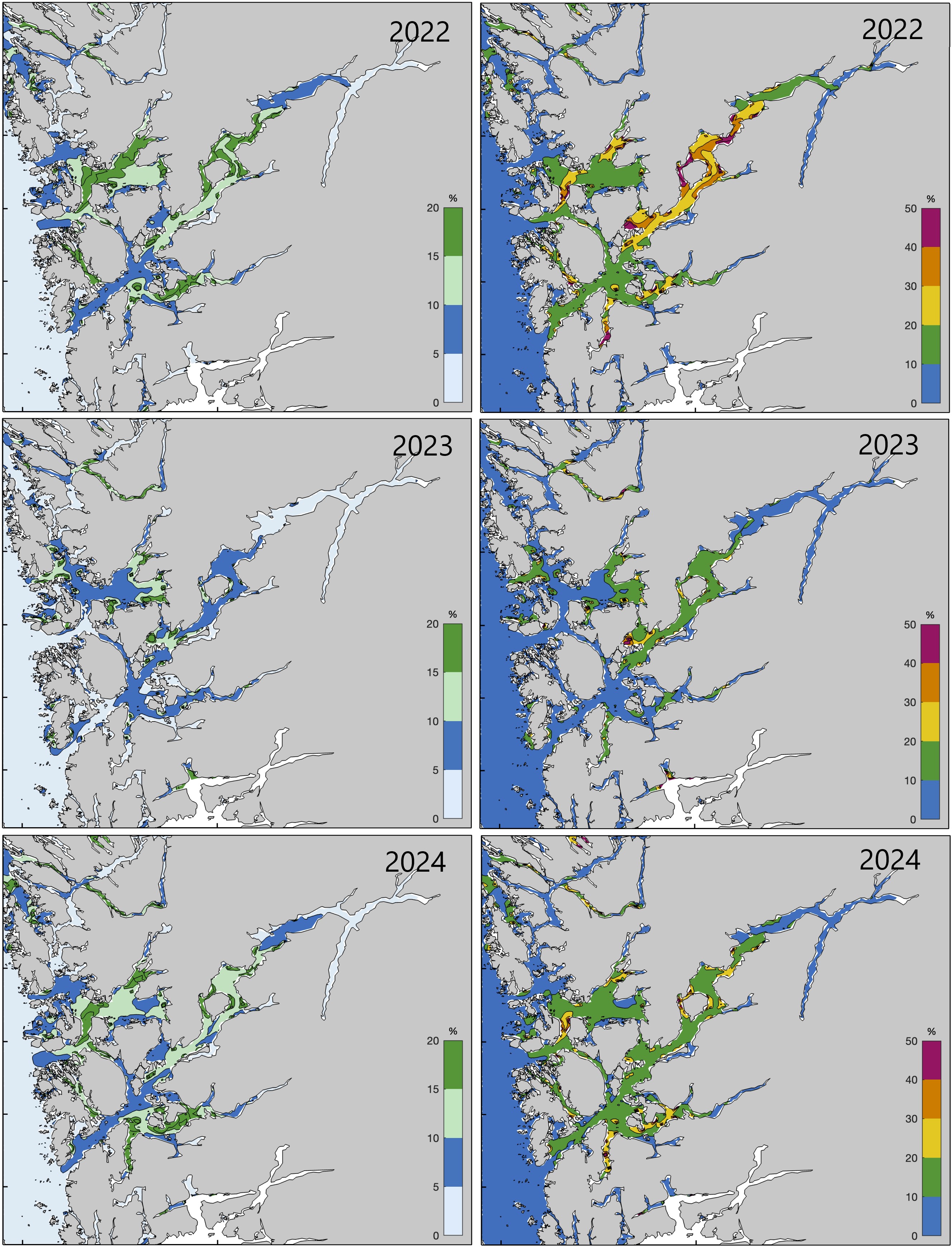For hver av de to situasjonene er det tre kartutsnitt av Hardangerfjorden fra 2022 øverst, 2023 i midten og 2024 nederst. Fargeskala til høyre i kartene representerer prosentvis økning i planteplanktonproduksjon. For de venstre gjelder følgende: fra grønt øverst (15-20 % økning), lys grønt (10-15 %), blått (5-10 %) og lys blått (0-5 %). For de høyre gjelder følgende: mørk lilla øverst (40-50 % økning), oransje 30-40 %, gult (20-30 %), grønt (10-20 %) og blått (0-10 %).