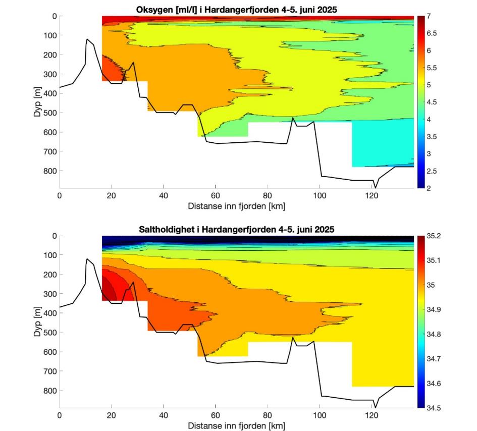 Lengdesnitt-plott øverst: «Oksygen (ml/l) i Hardangerfjorden 4.-5. juni 2025» og nederst» «Saltholdighet i Hardangerfjorden 4,-5. juni 2025». X-aksen viser distanse inn i fjorden (km) fra 0 til 130, og y-aksen viser dyp fra 900 til 0. Svart linje viser bunndyp. Fargeskala vist til høyre for diagrammene. Øverste plott (O2, ml/l): fra mørk rød (7), via oransje, grønn (5) og via lysere blå til mørk blå (2). Nederste plott (saltholdighet): fra mørk rød = 35,2, via oransje, grønn (34,9) via lysere blå til mørk blå (34,5). 