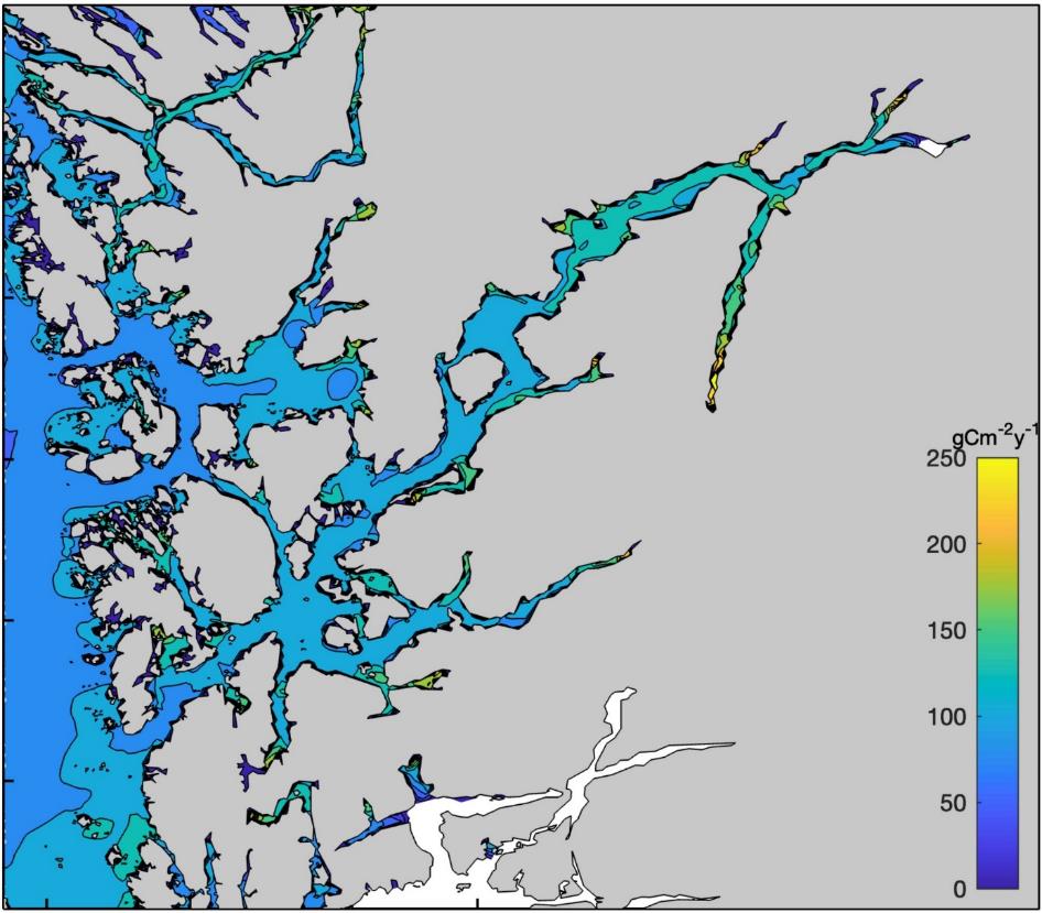 Kartutsnitt av Hardangerfjorden «uten fiskeoppdrett» med fargeskala til høyre i bildet som viser gCm-2y-1 og går fra gult (250) nedover via oransje, grønt (150) til lysere blå til mørk blått (0). 