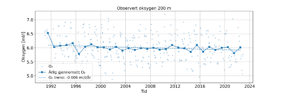 Diagram «Observert oksygen 200 m» med tid langs x-aksen fra 1990 til 2024, og oksygen (ml/l) langs y-aksen fra 5,0 til 7,0. Blå prikk = O2, heltrukken linje med punkt = årlig gjennomsnitt O2, stiplet linje = O2 trend: -0,006 ml/l/år.