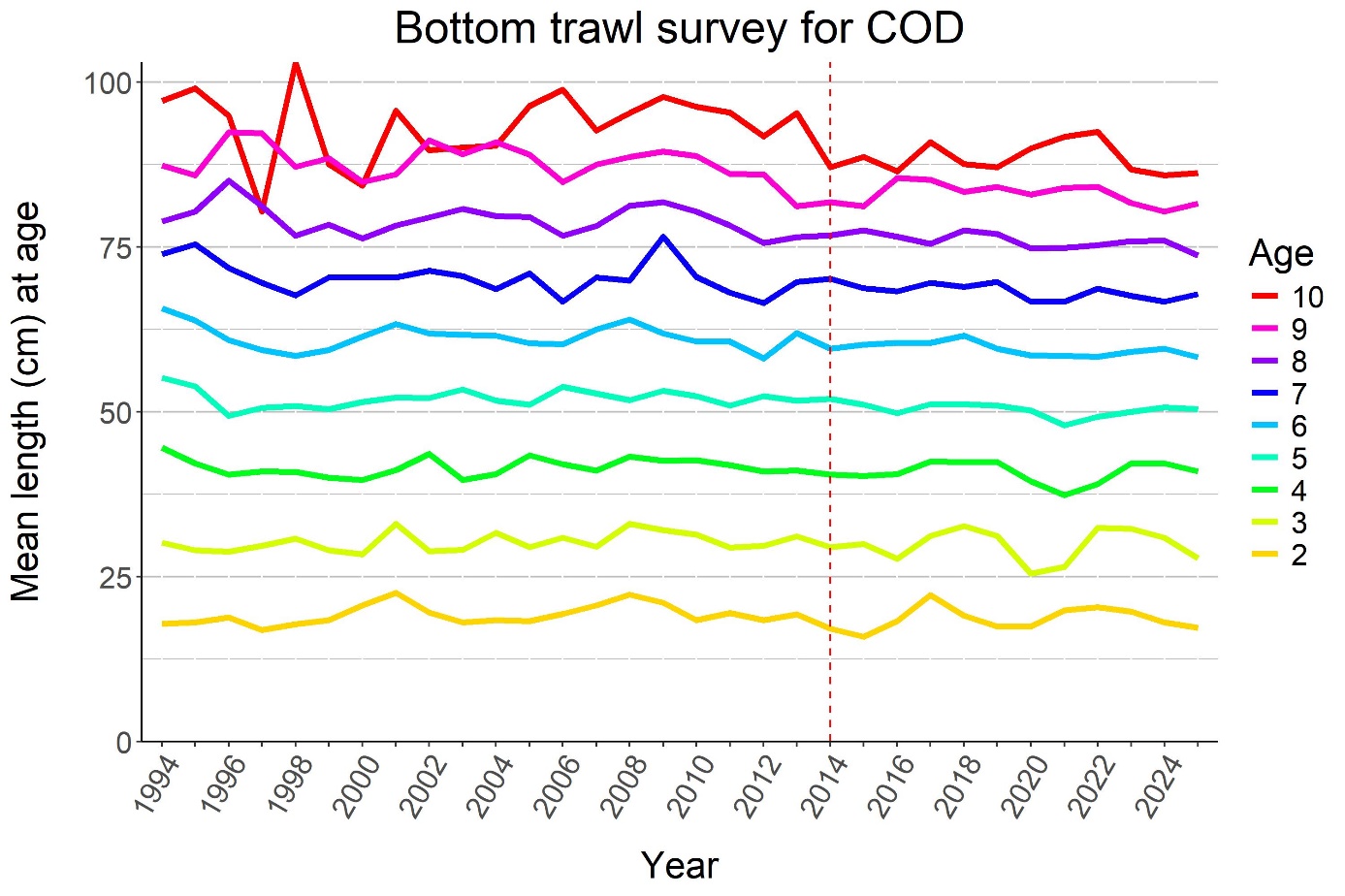 Mean length at age for cod in the winter surveys in 1994-2025. 