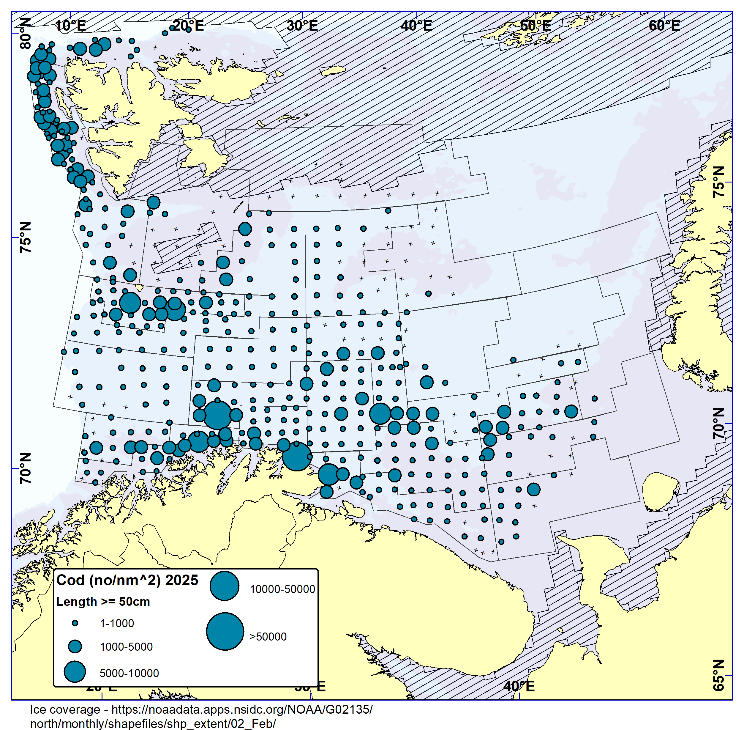 COD ≥ 50 cm. Distribution in valid bottom trawl catches in winter survey 2025 (number per nm2). Black crosses indicate zero catches and the shaded area the ice coverage early in the survey.