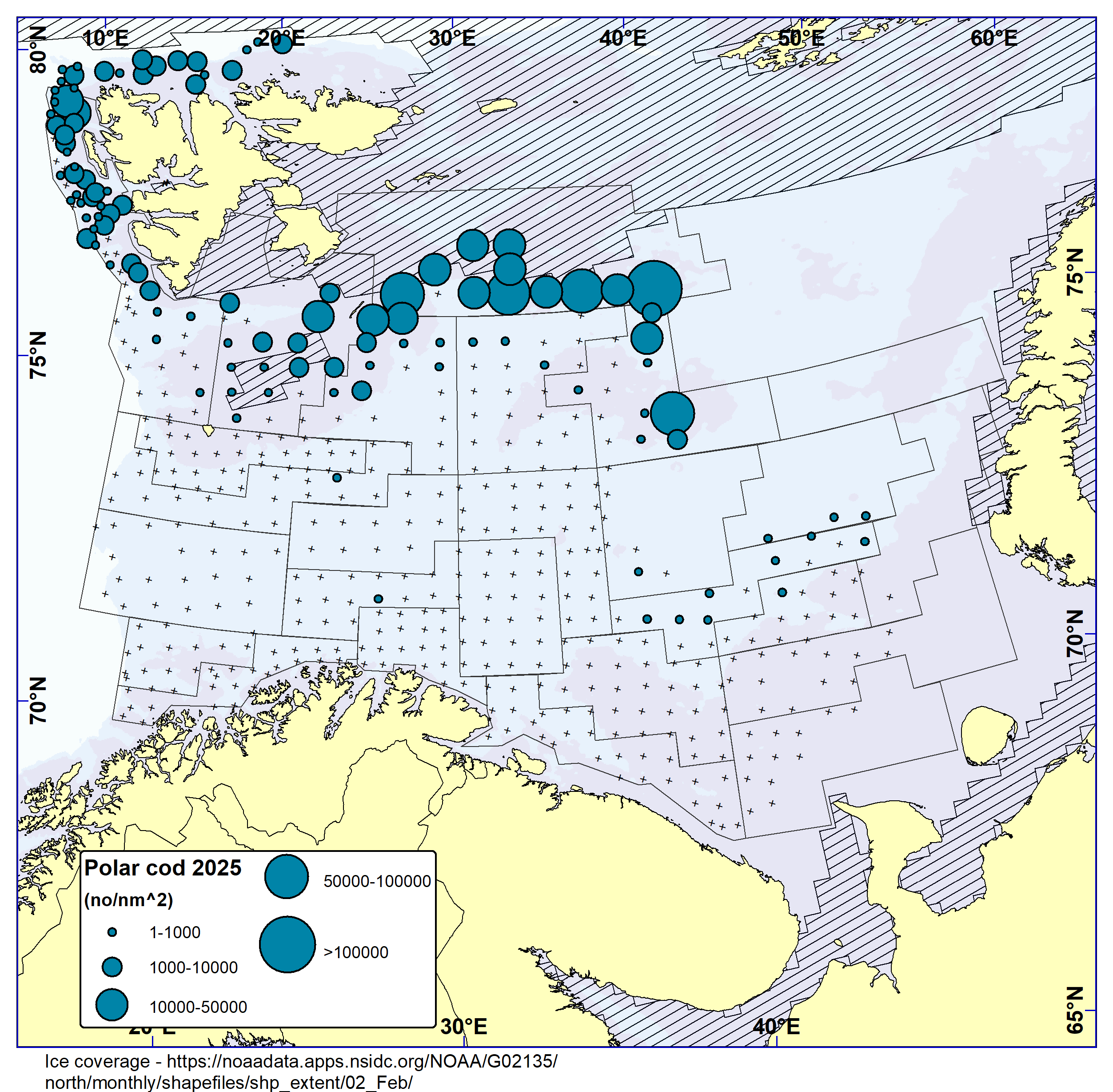 POLAR COD. Distribution in the trawl catches in winter survey 2025 (number per nm2). Black crosses indicate zero catches and the shaded area the ice coverage early in the survey.