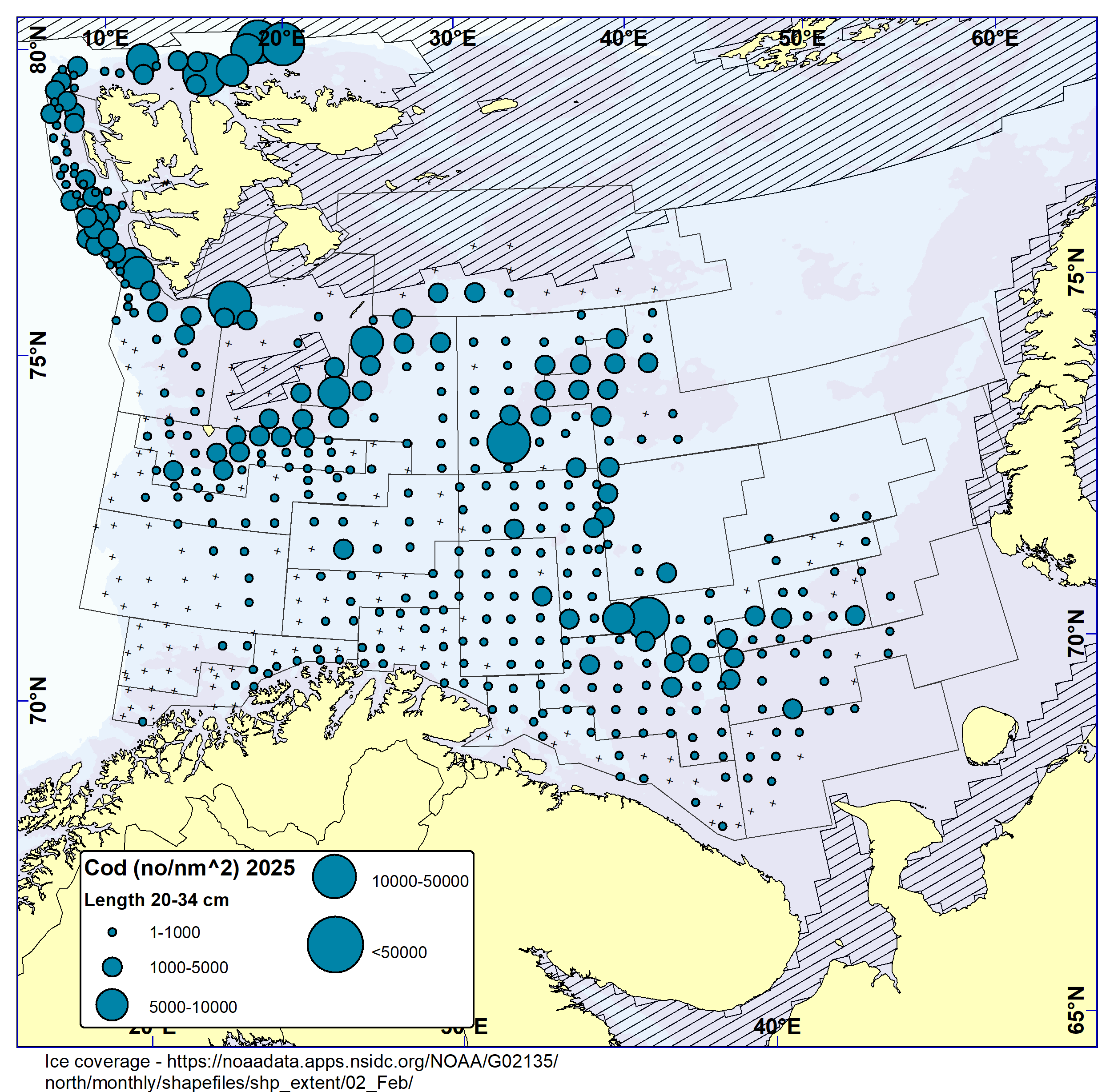COD 20-34 cm. Distribution in valid bottom trawl catches in winter survey 2025 (number per nm2). Black crosses indicate zero catches and the shaded area the ice coverage early in the survey.