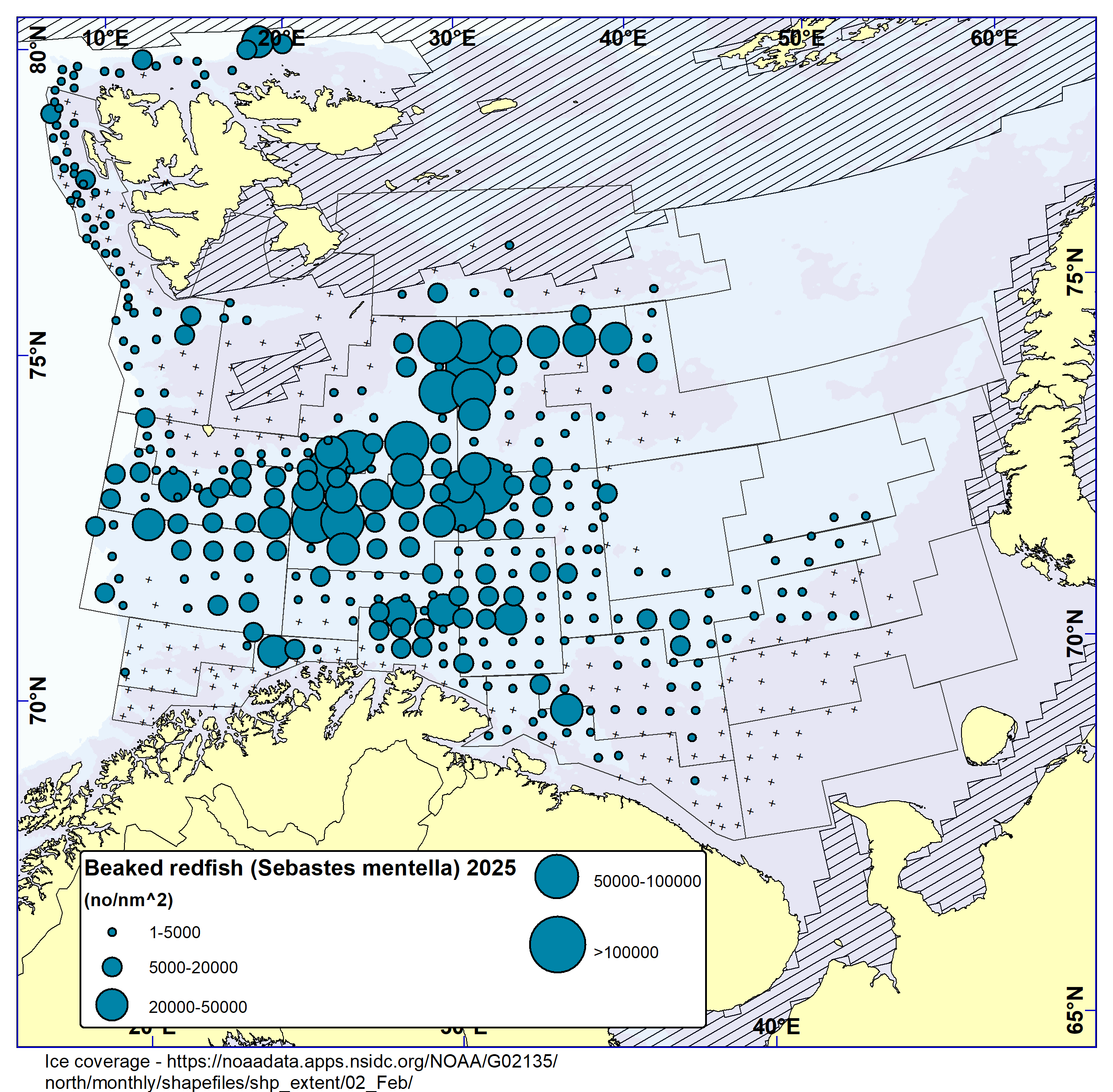 BEAKED REDFISH (Sebastes mentella). Distribution in the trawl catches in winter survey 2025 (number per nm2). Black crosses indicate zero catches and the shaded area the ice coverage early in the survey.
