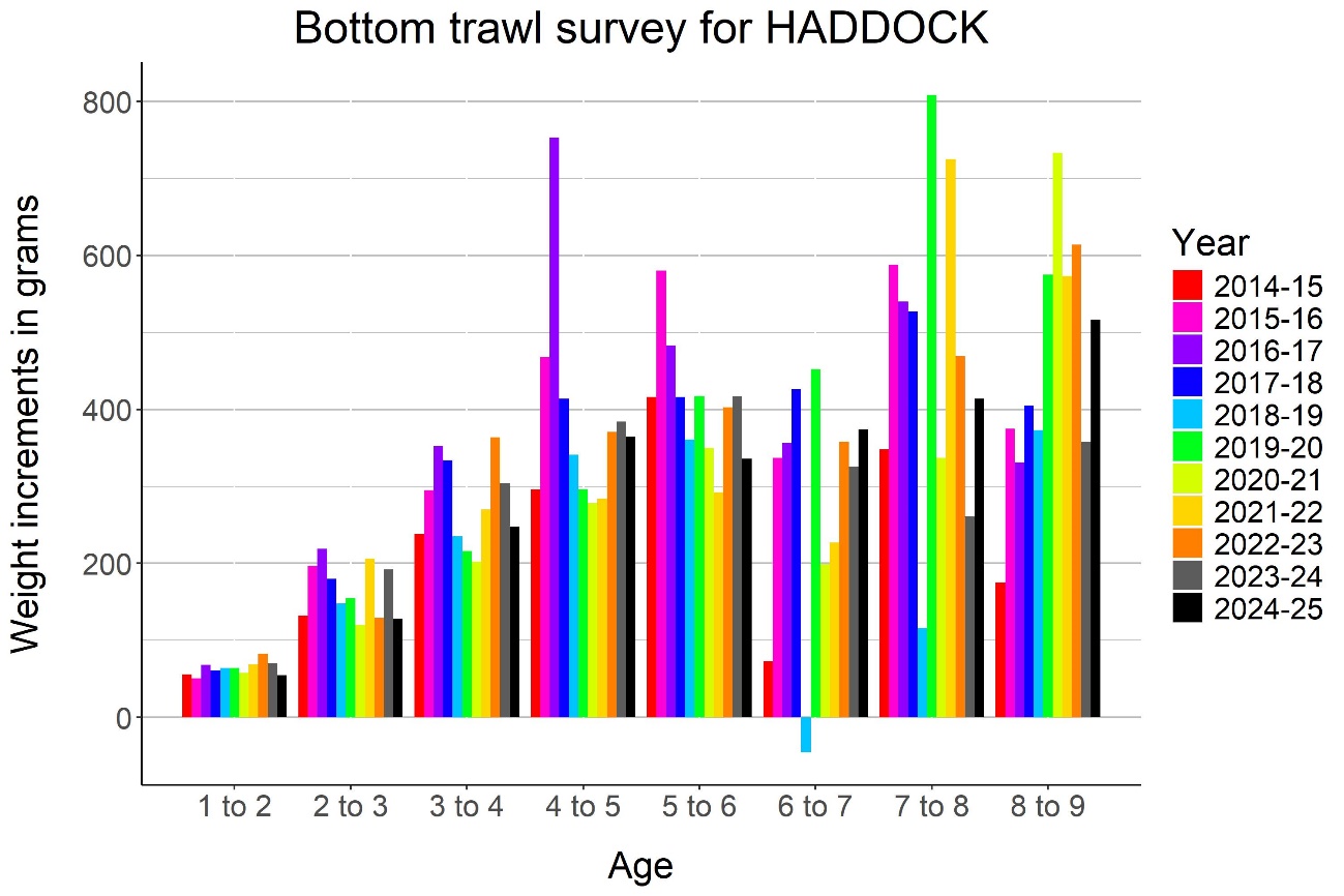 HADDOCK, annual weight increments.