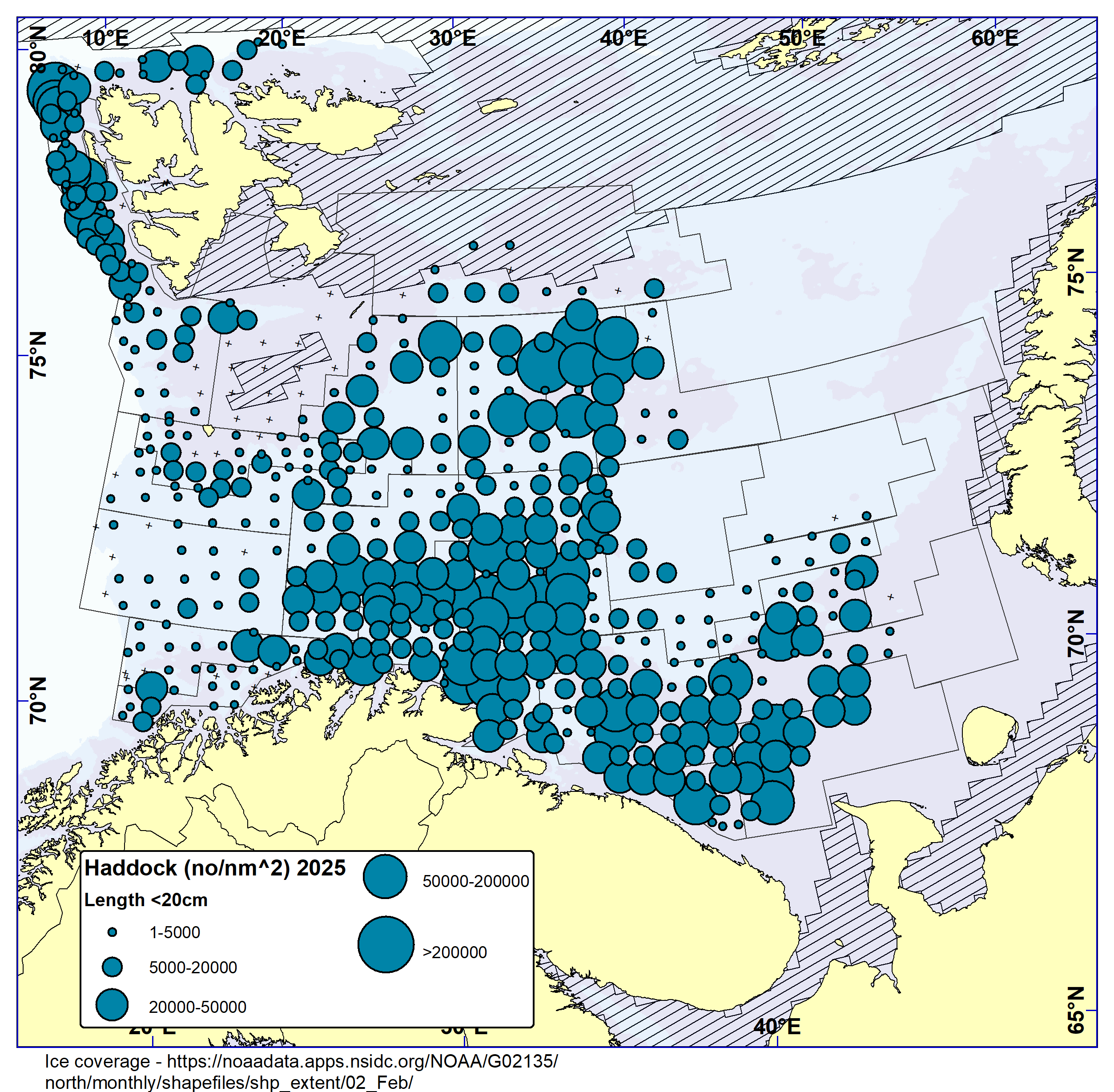 HADDOCK < 20 cm. Distribution in valid bottom trawl catches in winter survey 2025 (number per nm2). Black crosses indicate zero catches and the shaded area the ice coverage early in the survey.