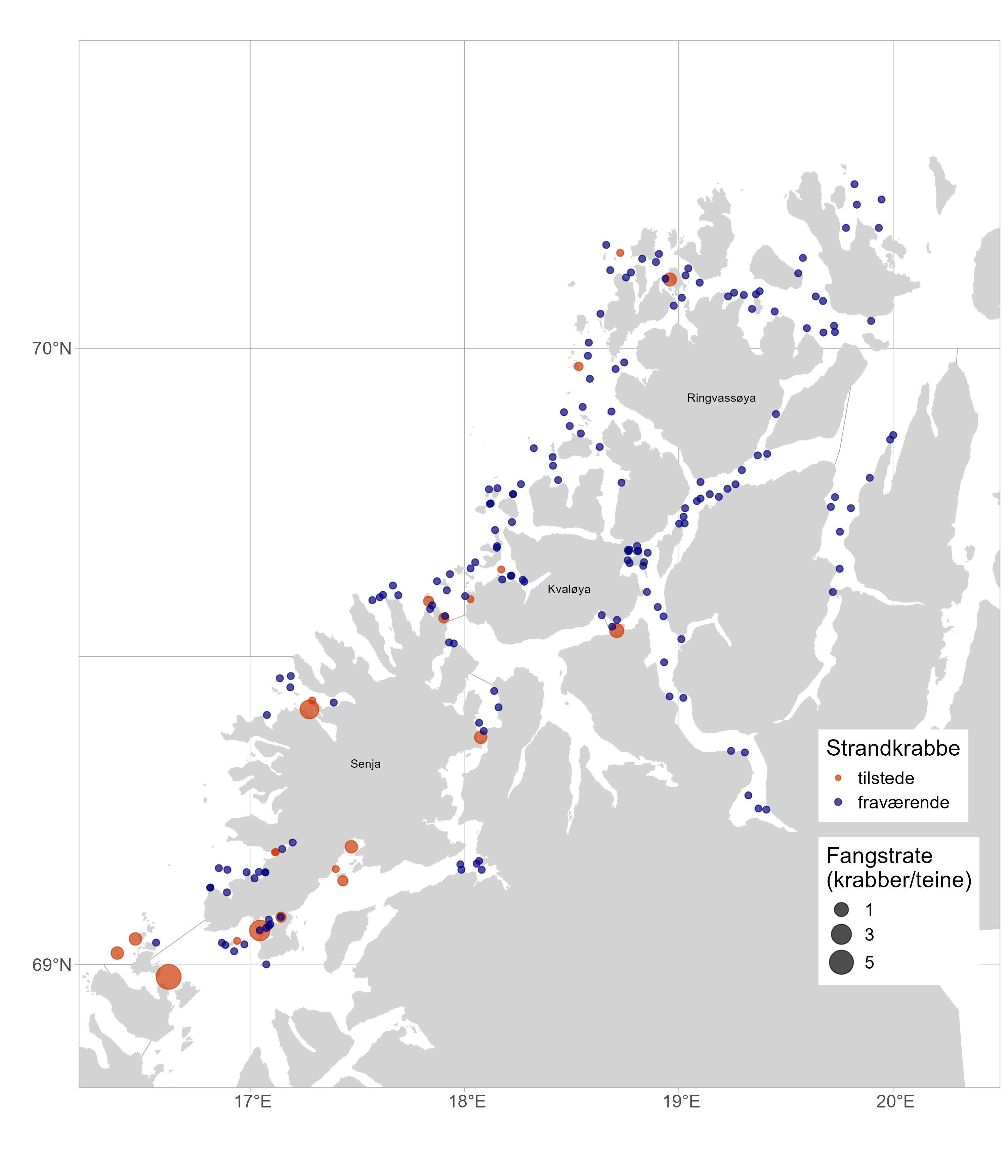 Kartutsnitt over studieområdet med rutenett (statistiske områder). «Strandkrabbe»: gule prikker = tilstede og blå prikker = fraværende. «Fangstrate (krabber/teine), fra liten til stor prikk i skalaen: 1, 3 og 5 krabber per teine. Lengde- og breddegrader er angitt på kartet (16-20,5 grader E og 69-70,5 grader N). Norgeskart øverst til venstre med rød ramme viser utsnittet. 