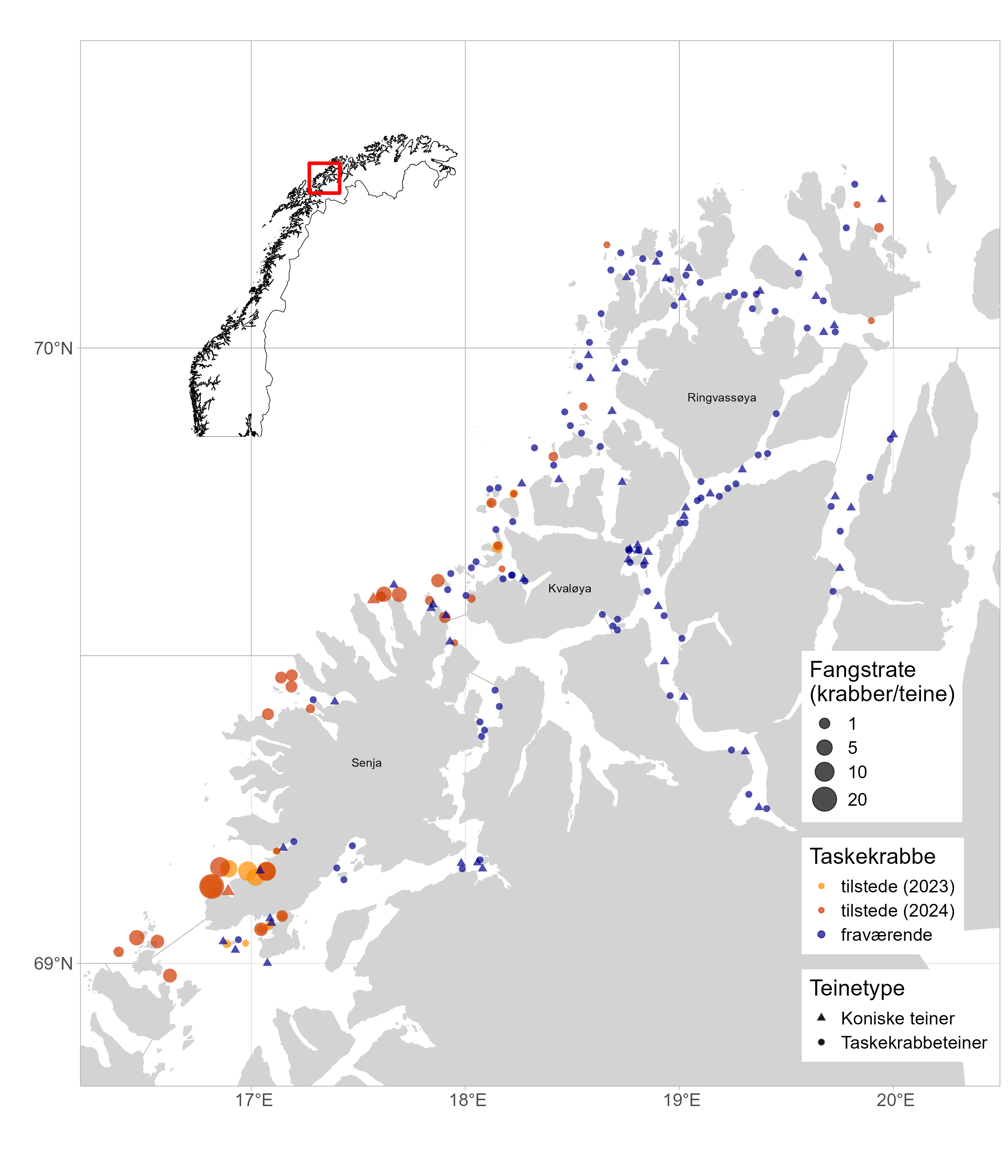 Kartutsnitt over studieområdet med rutenett (statistiske områder). Fangstene er vist med følgende symboler: «Taskekrabbe»: gule prikker = tilstede (2023), oransje prikker = tilstede (2024) og blå prikker = fraværende. «Fangstrate (krabber/teine), fra liten til stor prikk i skalaen: 5, 10, 15 og 20 krabber per teine. «Teinetype»: trekant = koniske teiner, sirkler = taskekrabbeteiner. Symbolhenvisning til høyre i bildet. Ringvassøya, Kvaløya og Senja er markert. Lengde- og breddegrader er angitt på kartet (16-20,5 grader E og 69-70,5 grader N). Norgeskart øverst til venstre med rød ramme viser utsnittet. 