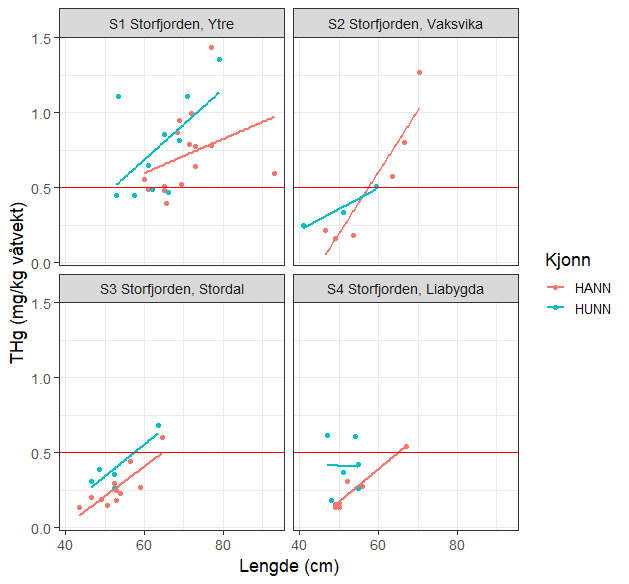 Forholdet mellom konsentrasjonen av totalkvikksølv (THg, mg/kg våtvekt) og fiskens lengde ved de fire lokalitetene i Storfjorden. De to ulike fargene viser resultatene for hannfisk og hunnfisk. Den røde horisontale linjen markerer grenseverdien på 0,5 mg/kg våtvekt.