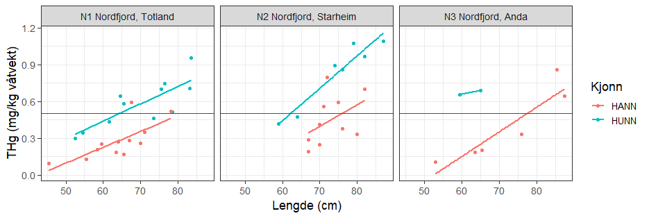 Forholdet mellom konsentrasjonen av totalkvikksølv (THg, mg/kg våtvekt) og fiskens lengde ved de tre lokalitetene i Nordfjord. De to ulike fargene viser resultatene for hannfisk og hunnfisk. Den røde horisontale linjen markerer grenseverdien på 0,5 mg/kg våtvekt.