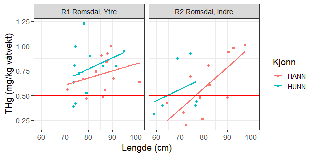 Forholdet mellom konsentrasjonen av totalkvikksølv (THg, mg/kg våtvekt) og fiskens lengde ved de to lokalitetene i Romsdalsfjorden. De to ulike fargene viser resultatene for hannfisk og hunnfisk. Den røde horisontale linjen markerer grenseverdien på 0,5 mg/kg våtvekt.