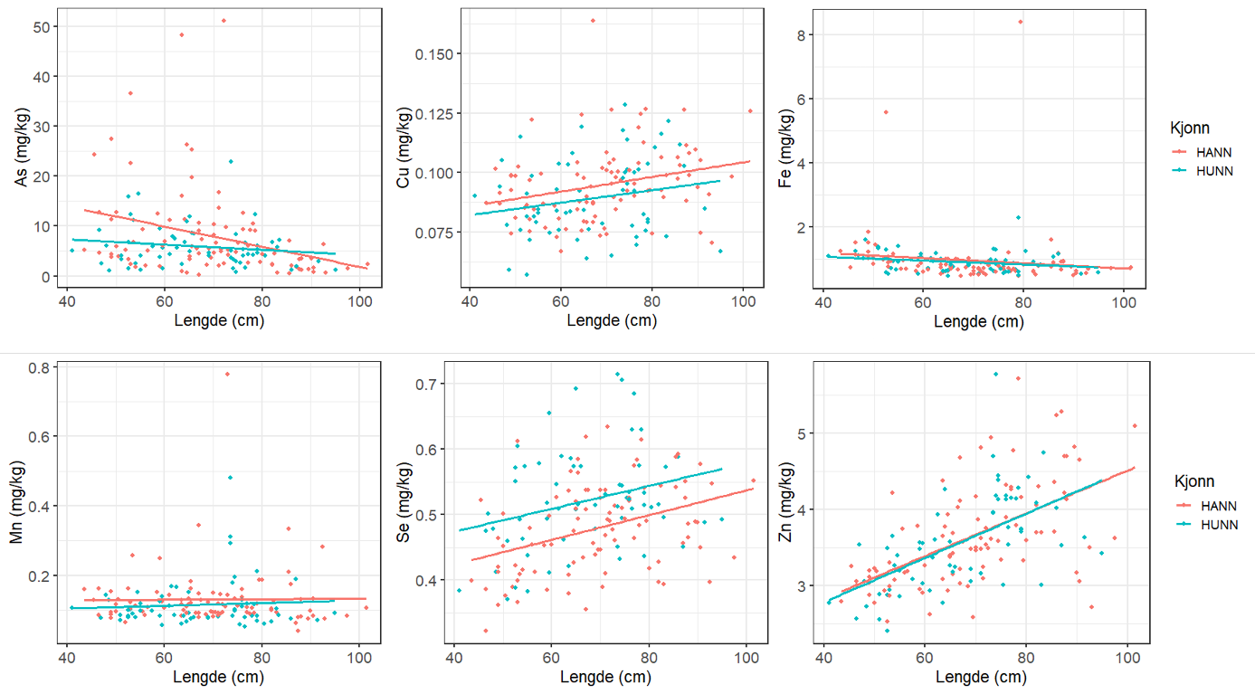 Forholdet mellom fiskens lengde (cm) og konsentrasjon av ulike målte elementer (As, Cu, Fe, Mn, Se, Zn, mg/kg våtvekt) i filet av brosme fra Nordfjord, Storfjorden og Romsdalsfjorden i 2024. De to ulike fargene markerer hunner og hanner.