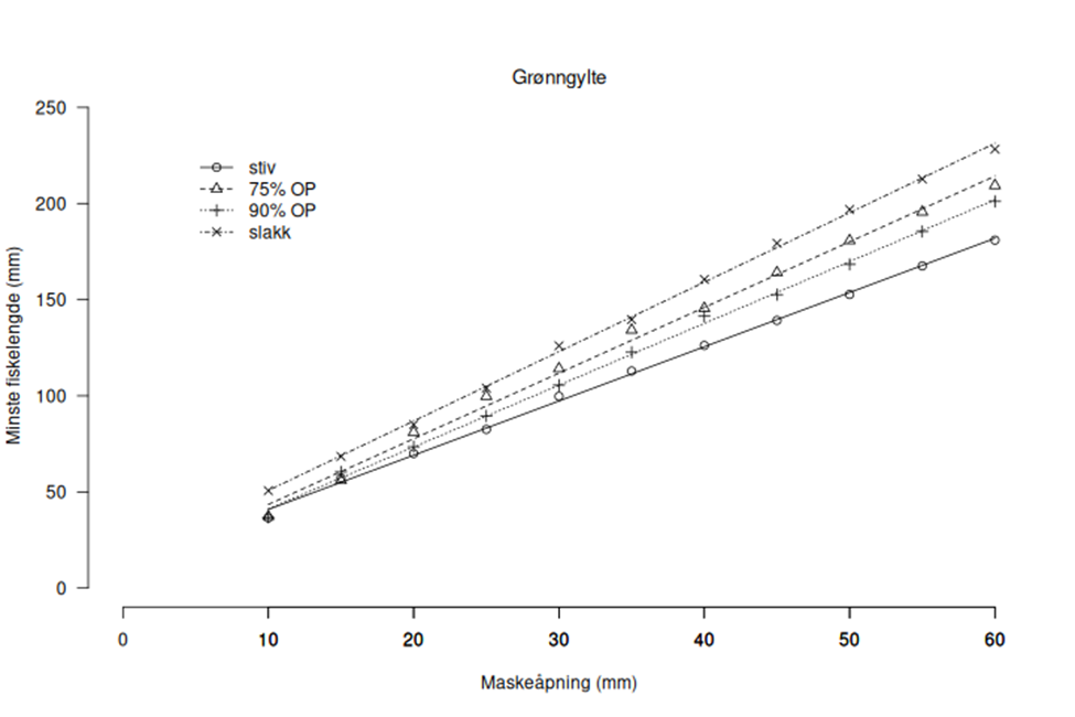 Figur 20 : Grønngylte. L 99 som funksjon av maskeåpning for grønngylte for hhv stive firkant masker (100% OP), heksagonale masker som representerer kvadrat masker med 75% og 90 % OP, og slakke masker. Merk at med slakke masker er fasongen til masken uvesentlig, det er kun størrelsen på masken som avgjør L 99.