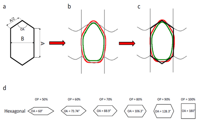 Figur 4 : Tilnærming av ei halvslakk maske ved bruk av heksagoner. (a) Parametre som definerer en heksagonal maske. (b) Illustrasjon av fisketrenging gjennom halvslakk kvadratmaske. (c) Tilnærming av en forvrengt halvslakk kvadratmaske med en heksagon. (d) Eksempler på heksagoner som representerer forvrengte halvslakke kvadratmasker med forskjellig OP nivå (se Eq. (1)). A = Stolpelengde. B = maskebredde. OA = åpningsvinkel. OP = Relativ maskeåpning. Figur fra Sistiaga et al. (2021) og Herrmann et al. (2021).