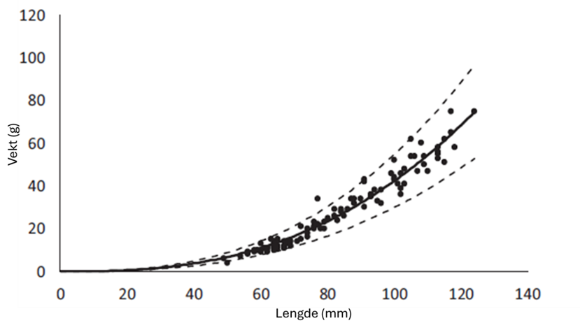 Figur 12 : Lengde-vekt forhold for rognkjeks inkludert i forsøkene (W = a × Lb). a = 2,225 × 10-4 og b = 2,64. R2 = 0,949. Stiplede linjene viser 95% konfidensintervall.