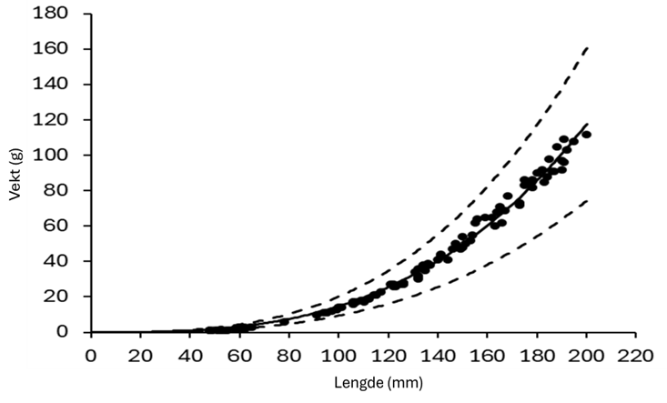 Figur 14 : Lengde-vekt forhold for grønngylte inkludert i forsøkene (W = a × Lb). a = 1,549 × 10-5 og b = 2,99. R2 = 0,991. Stiplede linjene viser 95% konfidensintervall.