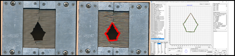 Figur 10 : Illustrasjon av digitalisering av tverrsnitt i FISHSELECT. Eksempelet vist her hører til CS2 hos oppdrettet rognkjeks.