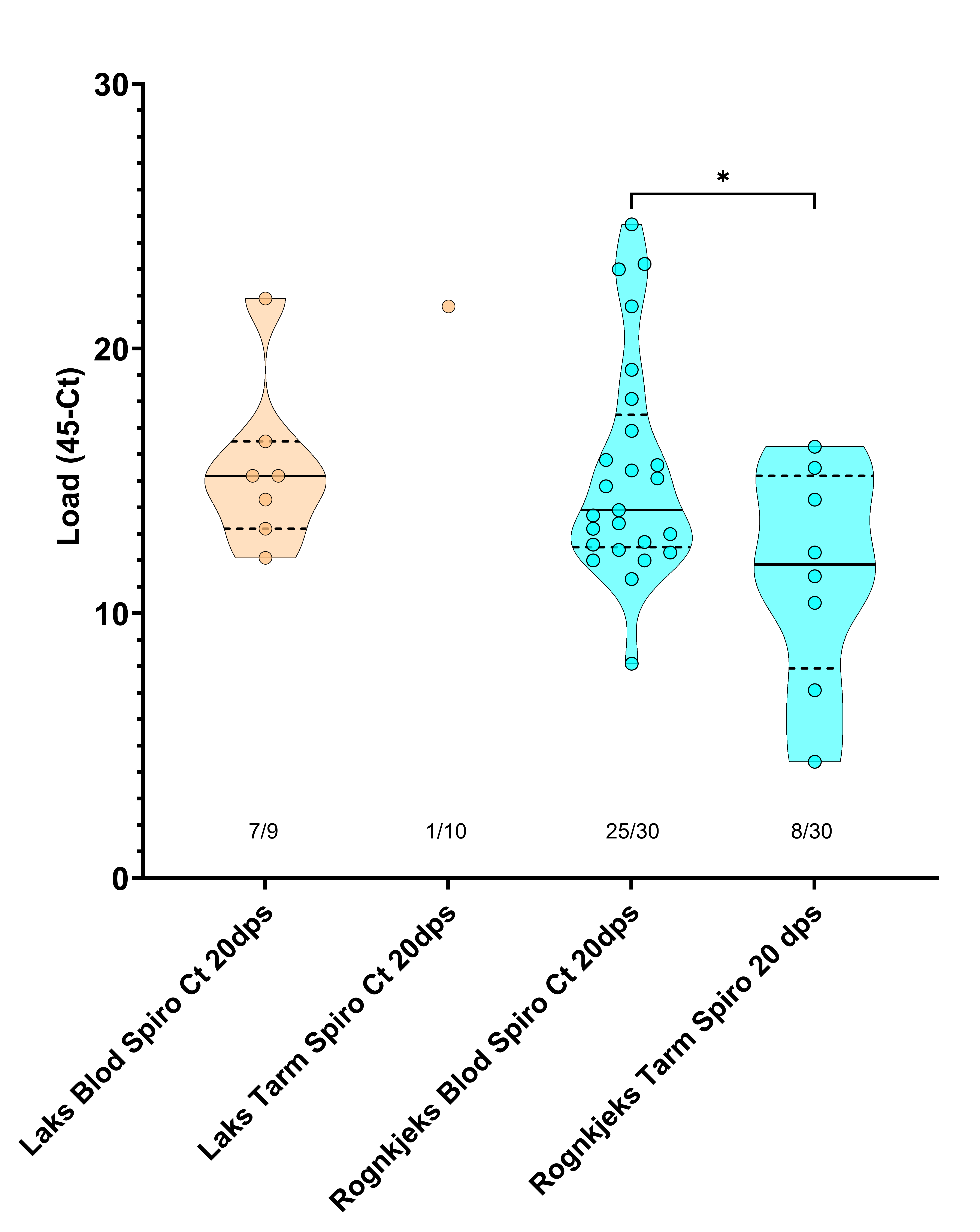 Trunkert fiolinplot for mengde (Load (45-Ct)) S. salmonicida i laks og rognkjeks i forsøk 2 tre veker etter badsmitte. Kun fisk positive for S. salmonicida er vist, og her var det kun forskjell (p < 0.05) i mengde S. salmonicida mellom tarm og blod for rognkjeks. Dps – dagar etter smitte.
