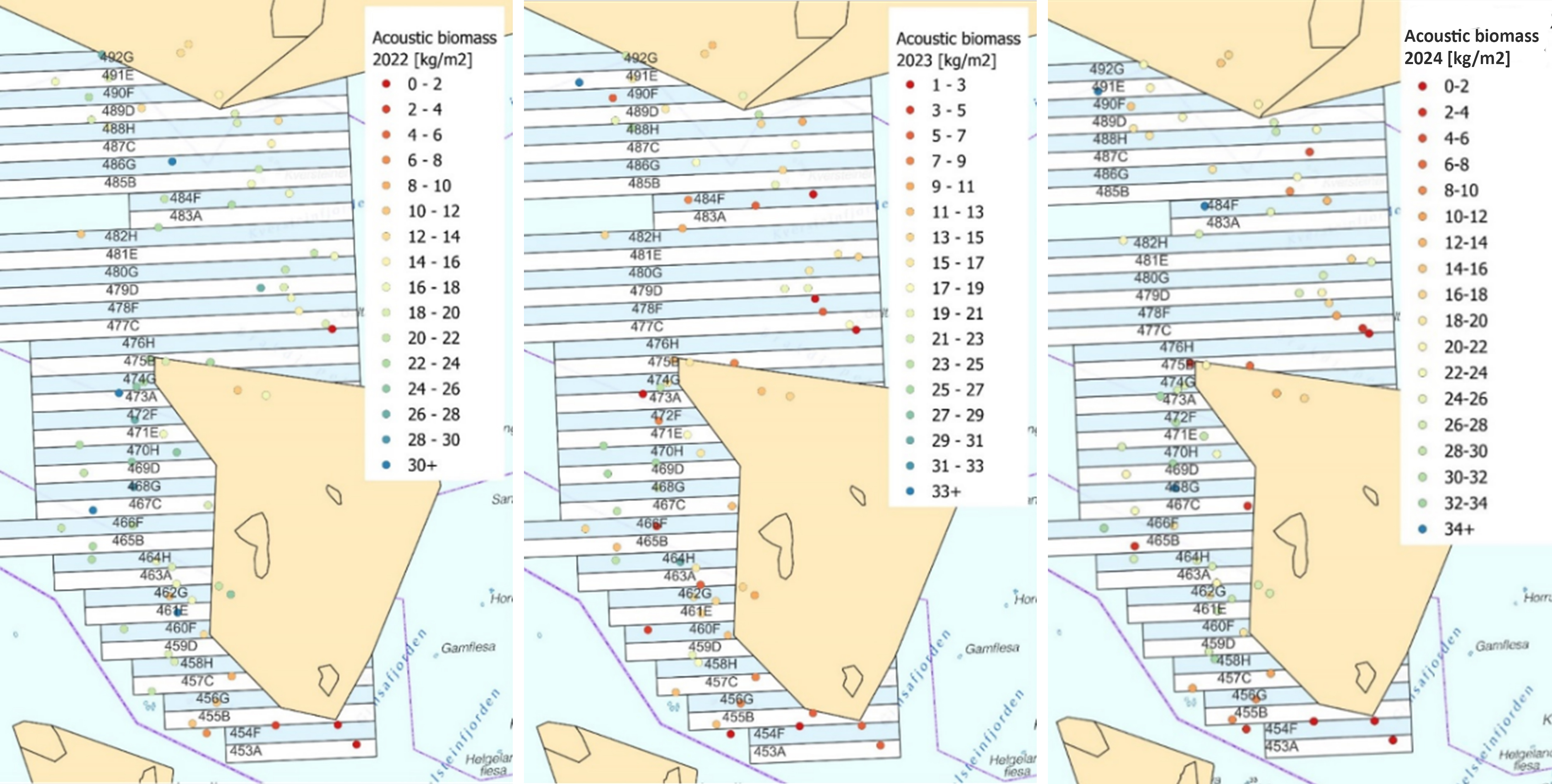 Figur 34. Akustisk estimering av biomassetetthet av tare i 2022 (øverst), 2023 (i midten) og 2024 (nederst).