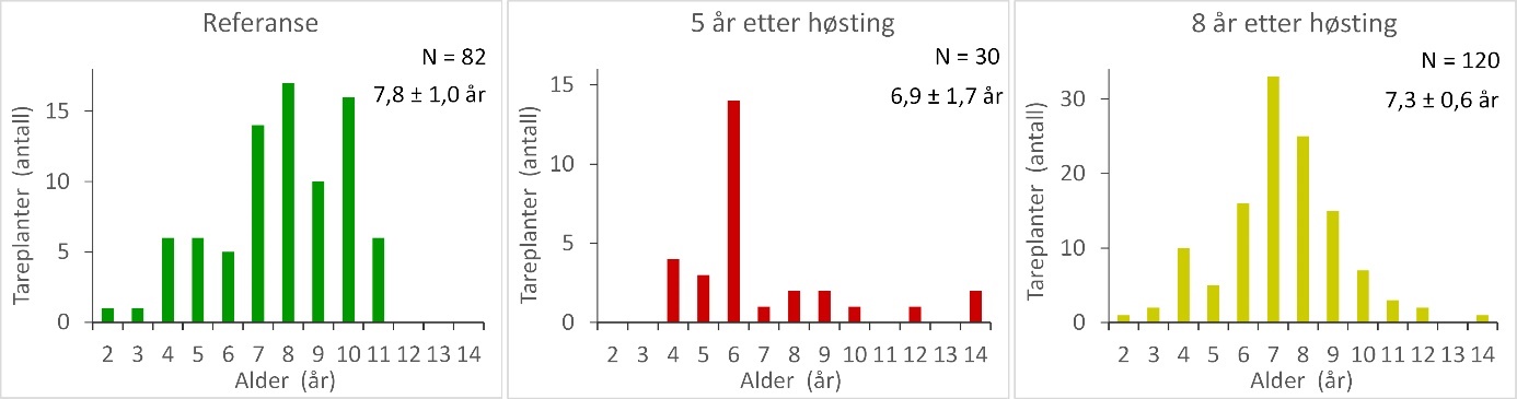 Figur 16. Aldersfordeling av stortarepopulasjoner samlet inn på stasjoner i uhøstede referanseområder (venstre panel), felt som ble høstet 5 år tidligere (midtre panel) og felt som ble høstet 8 år tidligere (høyre panel). Gjennomsnittlig alder ± 95 % konfidensintervall og totalt antall innsamlede planter (N) er vist i hvert diagram.   