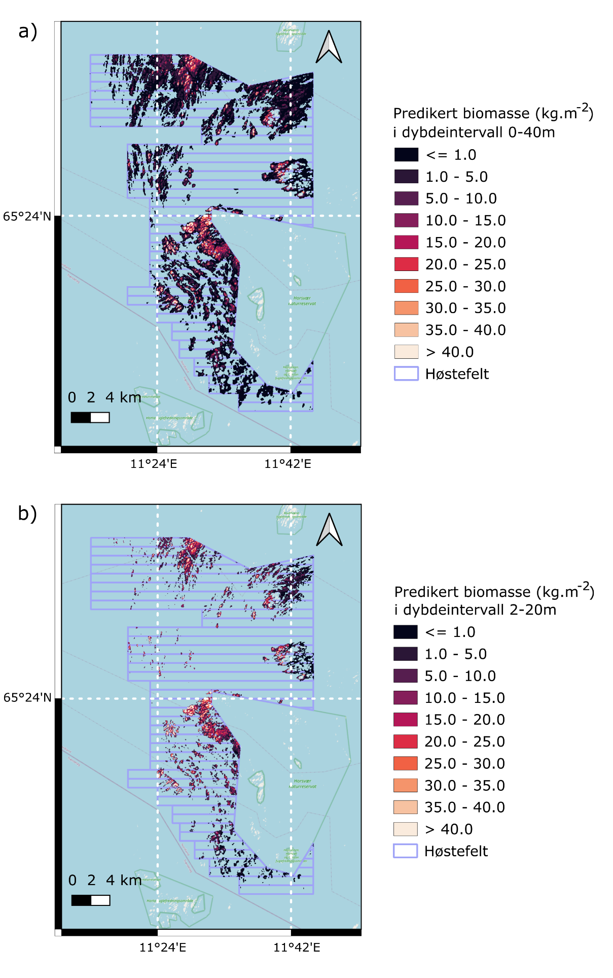 Figur 37. Romlig fordeling av predikert biomassetetthet (kg m-2) av stortare i tarehøstingsområdene i Nordland i a) 0-40 m dyp og b) 2-20 m dyp.