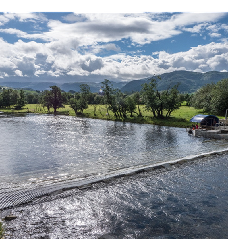 
G%3A%5CR%C3%A5dgivningskomiteen fra 2017%5CRapporter fom 2019%5CBilde