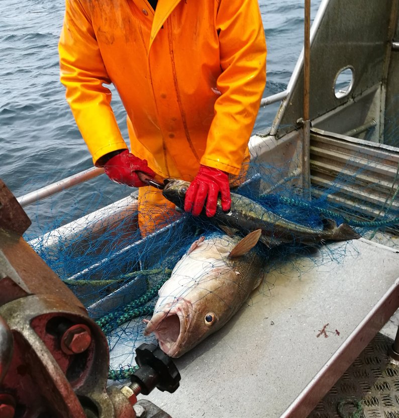 
IMG 20190219 092815 %282%29