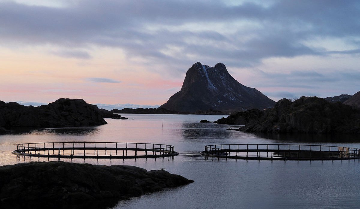 
Naturbilde med sjø og fjell. Midt i bildet viser to oppdrettsmerder.