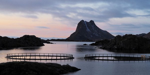 

Naturbilde med sjø og fjell. Midt i bildet viser to oppdrettsmerder.