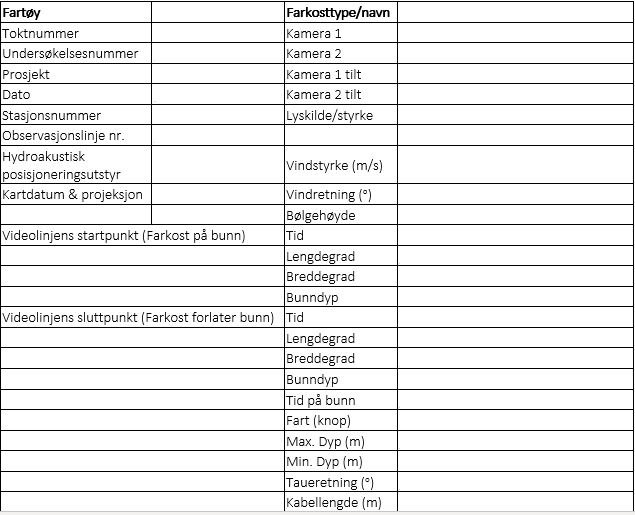 Figuren viser eksempel på feltskjema