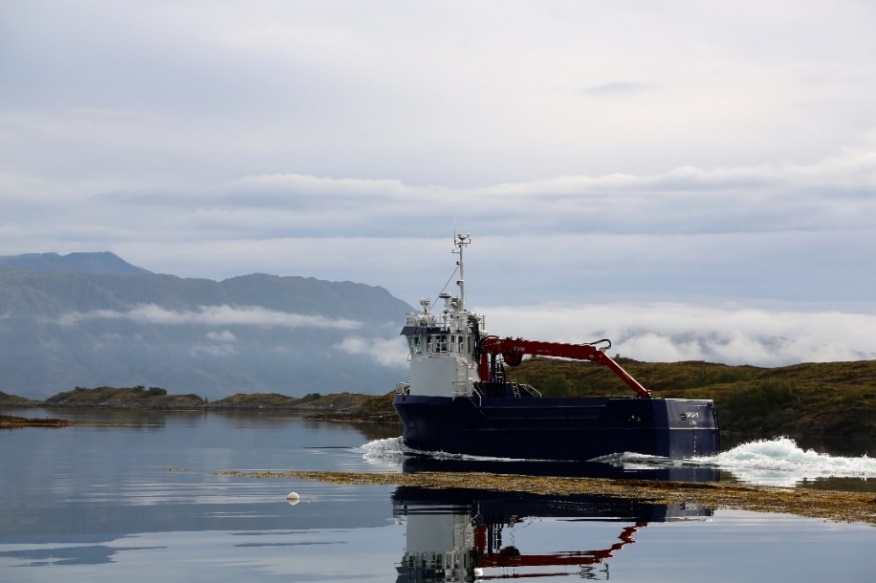 Figur 33. Taretråler i stille skjærgård (Foto: Espen Bierud, Havforskningsinstituttet).