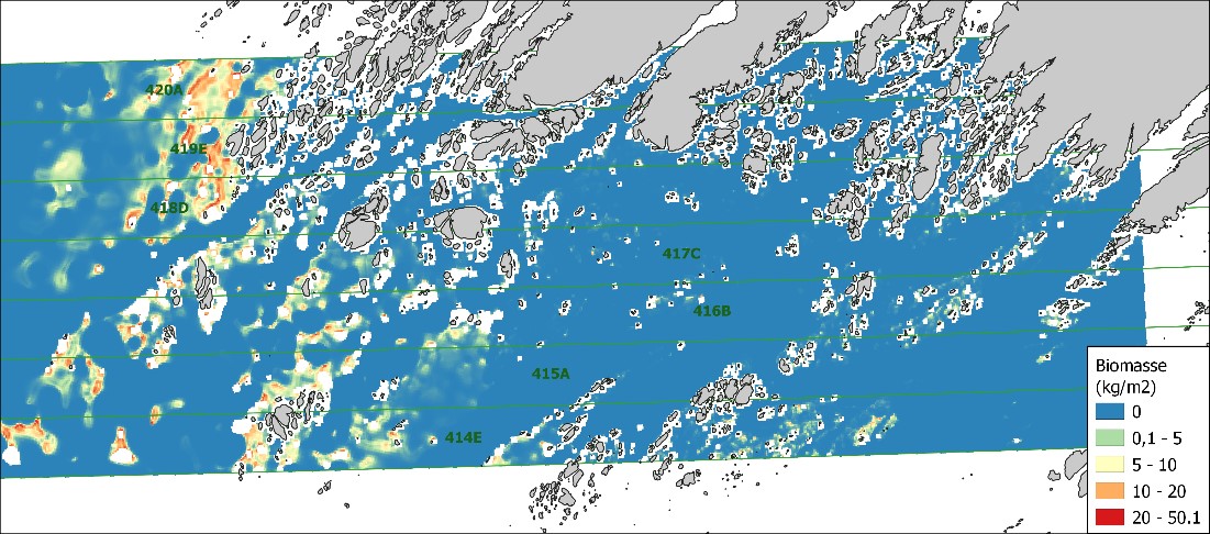 Kartfremstilling av predikat for biomasse av stortare