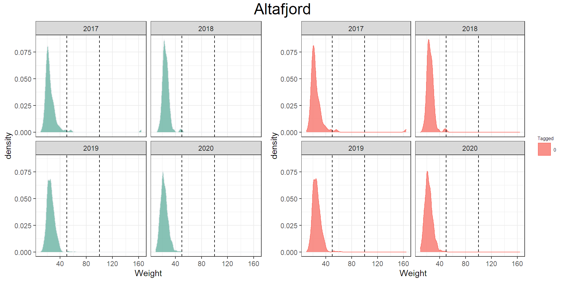 Figuren viser antall trålfanget laks i ulike størrelsesgrupper, og viser at fisk som er merket er større enn umerket fisk.