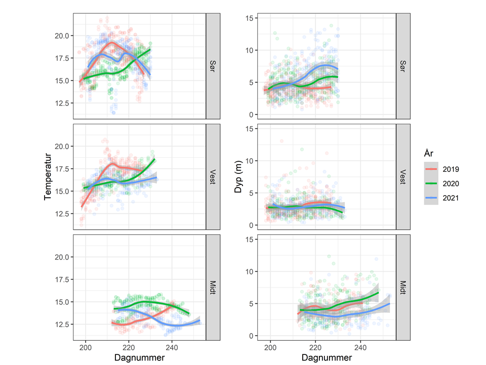 Vedlegg 6: Utvikling i temperatur og fangstdyp hos referansefiskere 2019-2021. Teinene har påfestet en datalogger (Star-ODDI centi-TD) som registerer dyp og temp hvert 15 minutt. Linjen viser en loess «smoother» som en funksjon av dagnummer.