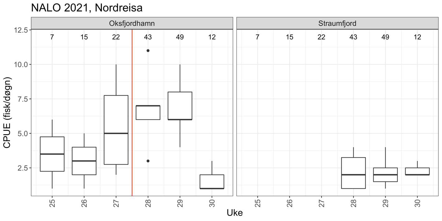 Fangst sjøørret Troms