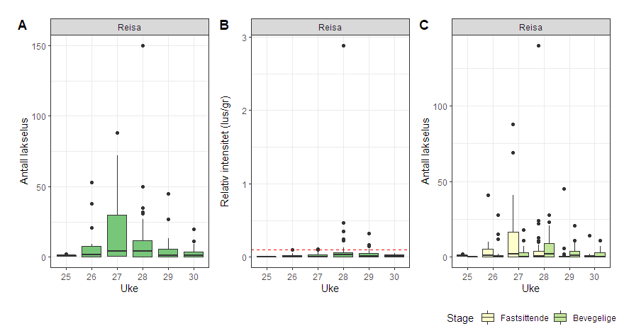 Figur 43. Antall lakselus (A), relativt antall lus (antall lus/gram kroppsvekt) (B) og antall lakselus fordelt på fastsittende og bevegelige stadier (C) fra sjøørret på stasjonen i Reisa.