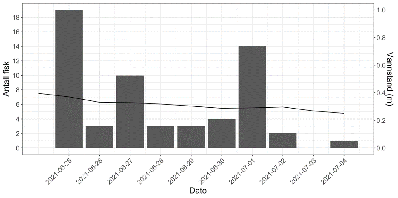 Vandring av merket sjøørret/sjørøye