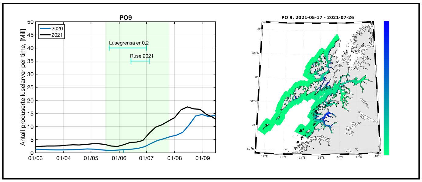 Figur 35. Produksjon av klekte luseegg fra oppdrettsanlegg i produksjonsområde 9 i tidsrommet mars - september i 2020 og 2021. Grønt felt indikerer en periode på 70 døgn hvor en regner med at en stor andel sjøørret benytter det marine habitatet i produksjonsområdet. Figuren illustrerer også tidsrom for lavere lusegrense i oppdrettsanlegg og omtrentlig tidsrom for overvåking i dette produksjonsområdet (ruse 2021, t.v.). Kartet illustrerer modellert fordeling av kopepoditter i produksjonsområdet summert over den samme 70 døgns perioden. Grønn farge i kartet indikerer lav tetthet av kopepoditter og blå farge i kartet indikerer høyere tetthet med kopepoditter t.h. Perioden på 70 døgn er lagt 20 døgn før og 50 døgn etter teoretisk 50 prosent laksesmoltutvandring for produksjonsområdet.