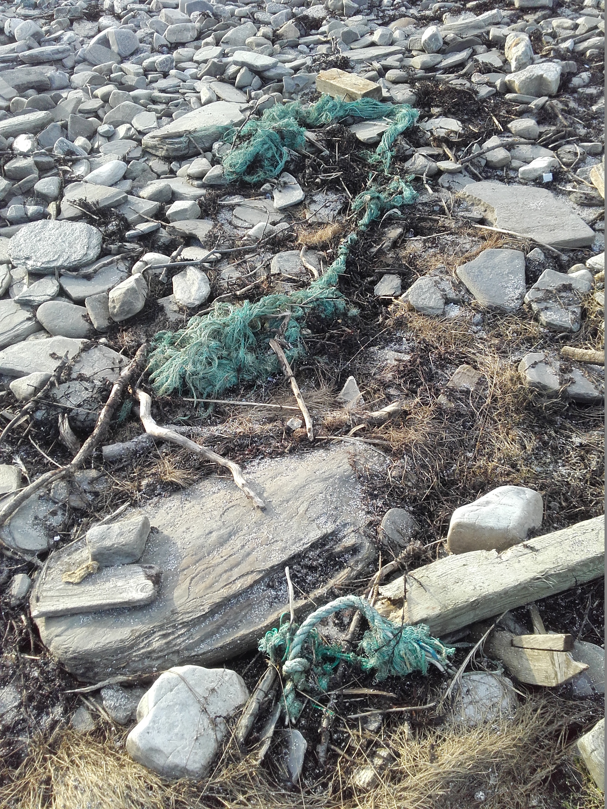 Avfall i strandsonen i Finnmark